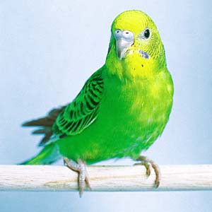 �i�~�Z�L�Z�C�C���R