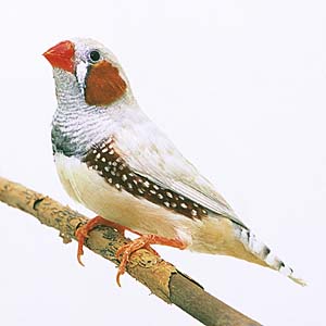 �R�_�C�L���J�`���E