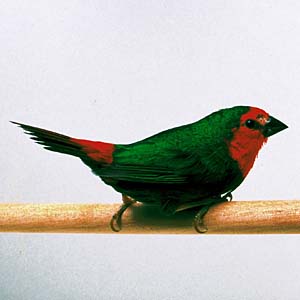 �q�m�}���`���E