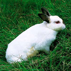 �q�}������