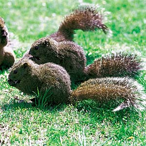 �^�C�������X