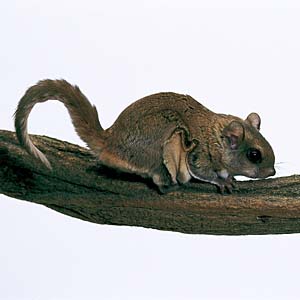 �A�����J�������K