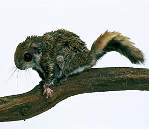 �^�C���N�������K