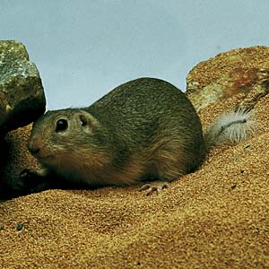 �_�E���A�n�^���X