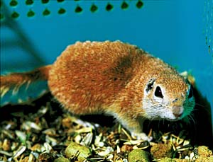 �z�V�W���X