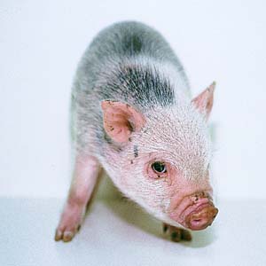 �~�j�u�^�i�Q�b�`���Q���j