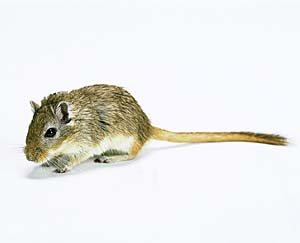 �X�i�l�Y�~