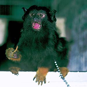 �A�J�e�^�}����