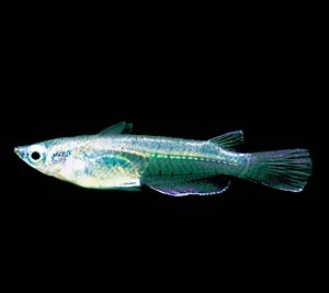 �W�������_�J