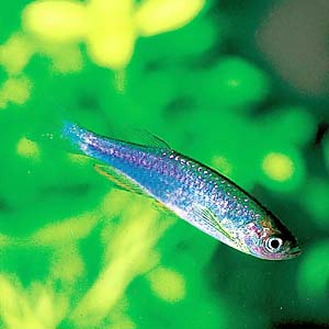 �_�j�I�E�G�X�������_