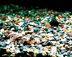 �����J���A