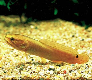 �A�~�A�E�J���o