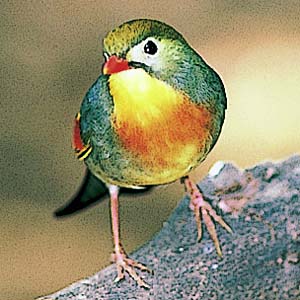 �\�E�V�`���E