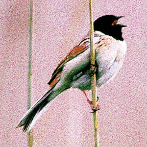 �R�W������