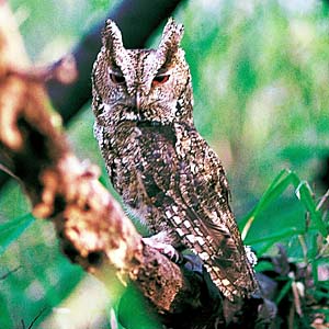 �I�I�R�m�n�Y�N