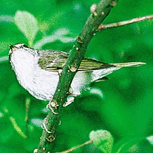 �G�]���V�N�C