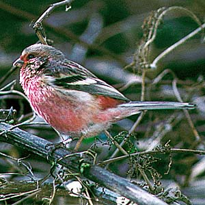 �x�j�}�V�R