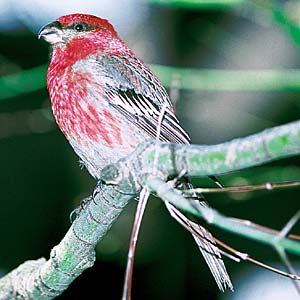 �M���U���}�V�R