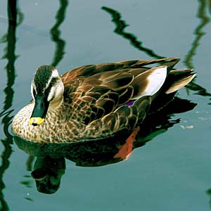 �J���K��