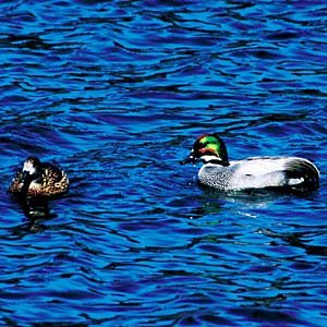 ���V�K��