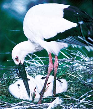 �R�E�m�g��