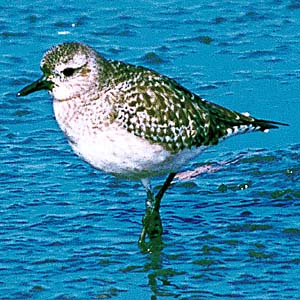 �~���r�V�M