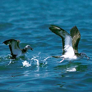 �I�I�~�Y�i�M�h��