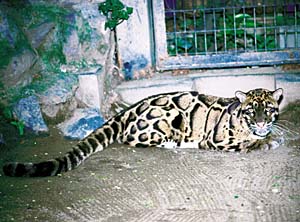 �E���s���E