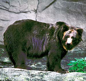 �G�]�q�O�}