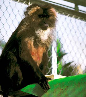 �V�V�I�U��