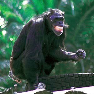 �`���p���W�[