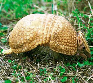 �~�c�I�r�A���}�W��