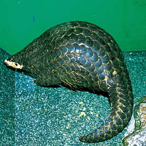 �~�~�Z���U���R�E