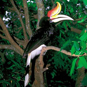 �T�C�`���E