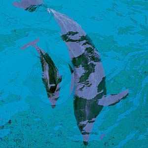 �o���h�E�C���J