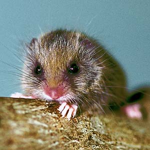 �j�z�����}�l