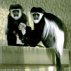 �A�r�V�j�A�R���u�X