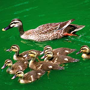 �J���K��