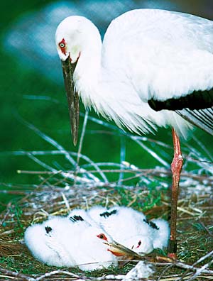 �R�E�m�g��